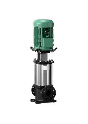 1705375719511014.jpg 1705375693586.jpg